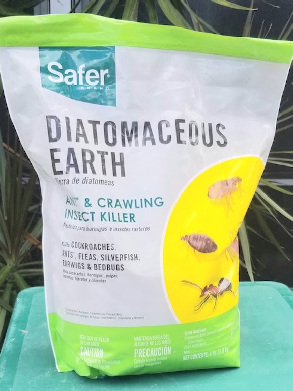 DIATOMACEOUS EARTH