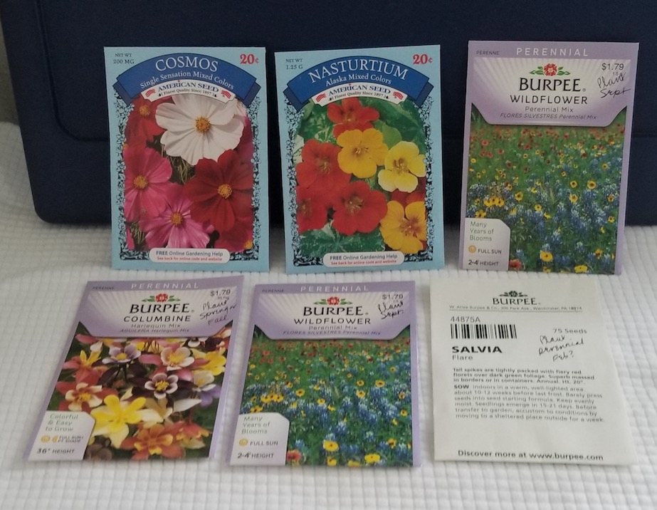 6 flower seed packets